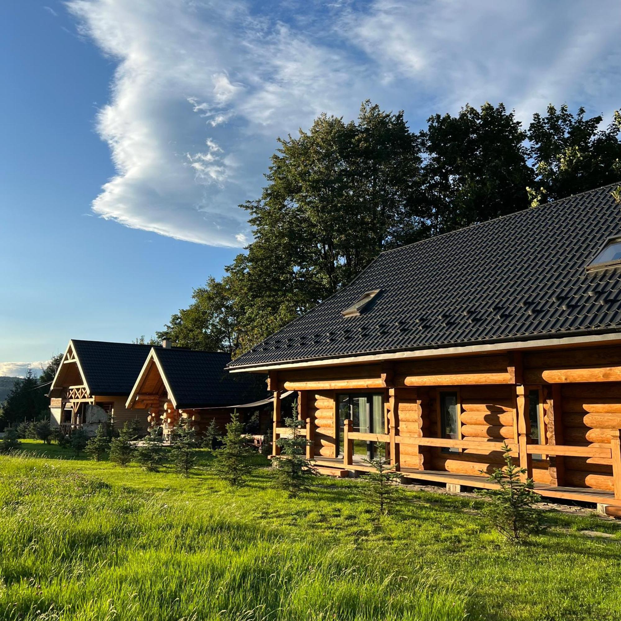 Chalet Pidstromom Villa Mykulychyn Exterior photo